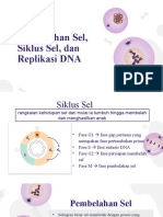 Pembelahan Sel, Siklus Sel, Replikasi DNA