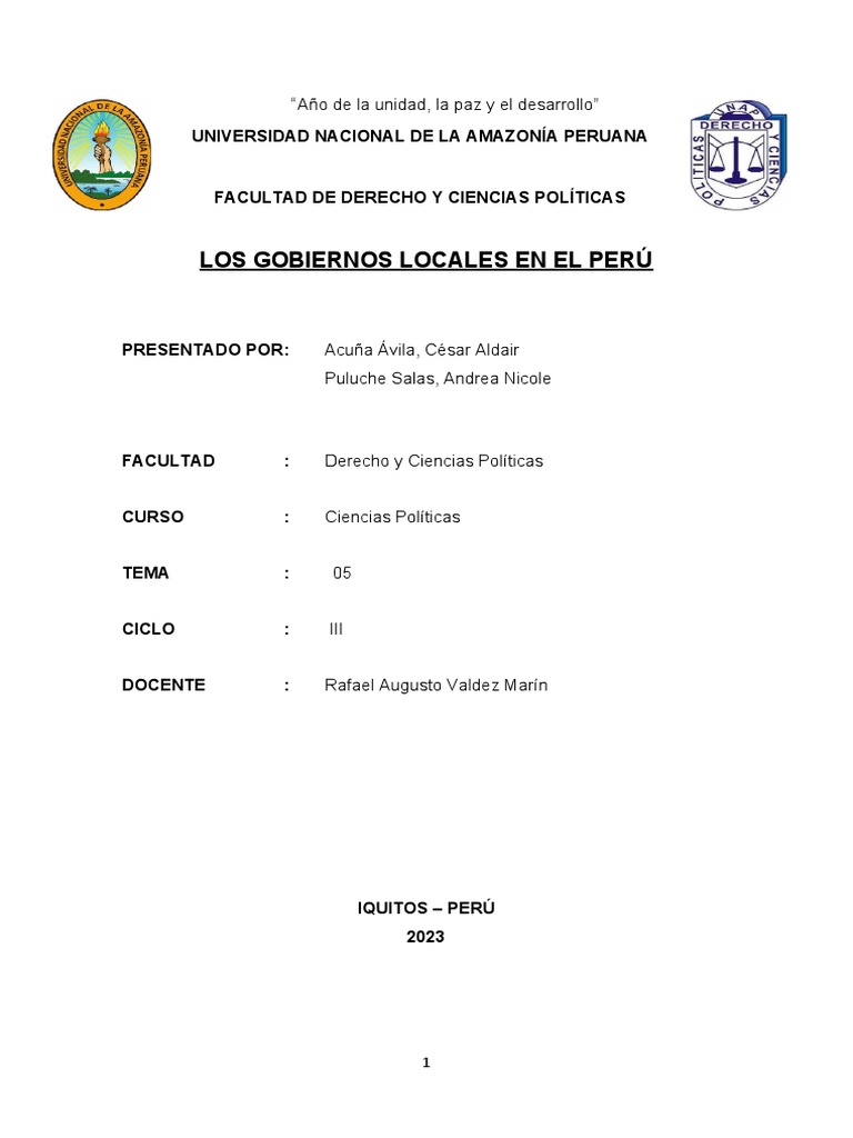 Gobiernos Locales en Perú: Estructura y Retos | PDF