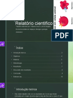 Relatório Cientifico