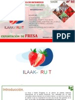 Exportacion de Fresas