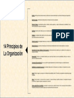 14 Principios de Organizacion