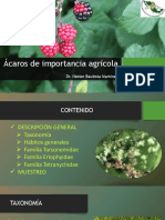 1.5.-Principales Ácaros de Importancia Agrícola