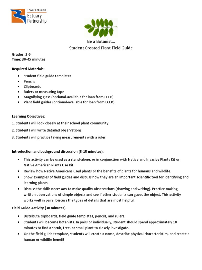 Student Plant Field Guide Activity | PDF | Art