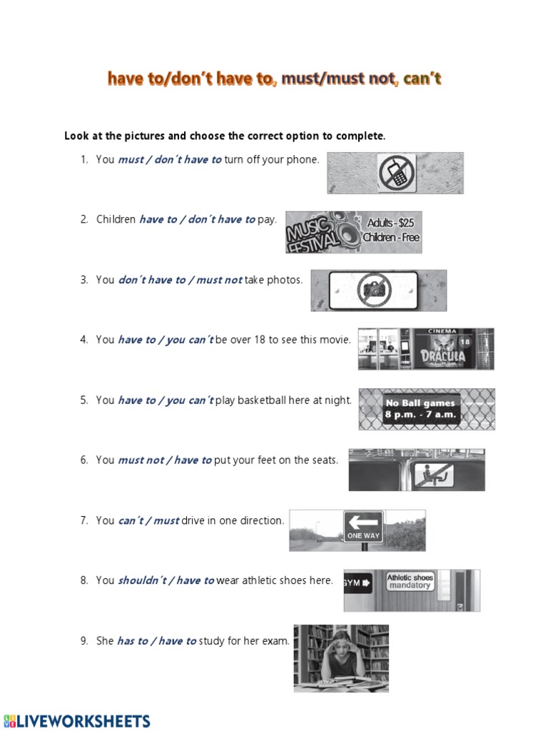 SHOULD MUST AND HAVE TO WORKSHEET PDF visual data 7