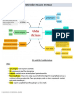 Carte Mentale Bilan