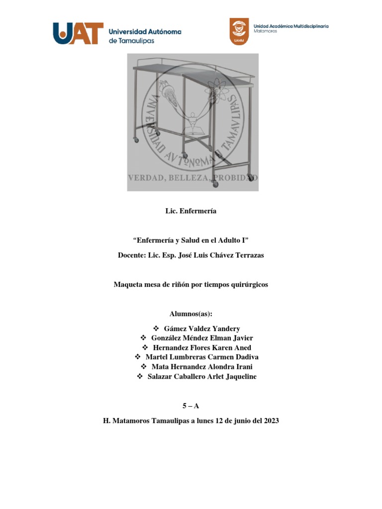 Maqueta Mesa de Rinon | PDF | Cirugía | Especialidades Medicas