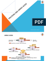 Proteins and Amino Acids