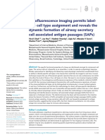 Rajagopal, 2022 Goblet Cell SAP