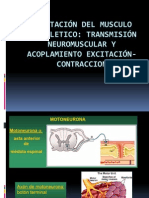 Presentación fisiologia