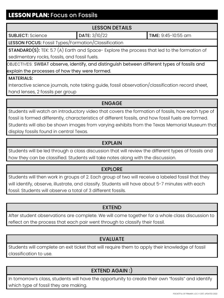 Formal Lesson Plan Template 3 PDF