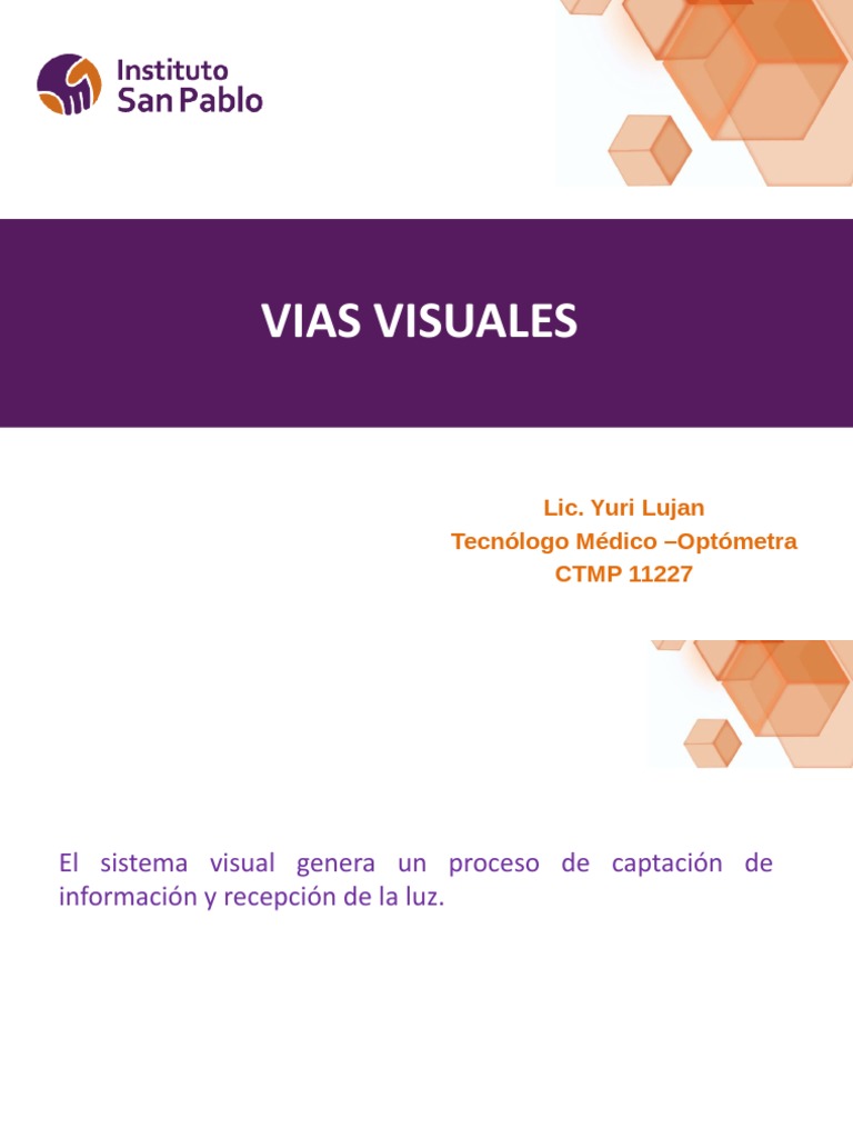 vias-visuales-pdf