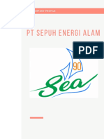 PT Sepuh Energi Alam (Company Profile) - 1