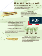 Infografía Ideas Creativas para Reciclar Ropa Didáctico Verde