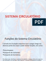 Sistema Circulatório