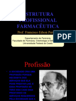 Estrutura Profissional Farmacêutica1