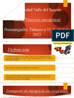 Procesos Energeticos ECOLOGIA