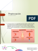 PROPIOCEPCIÓN 