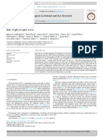 Role of Glia in Optic Nerve