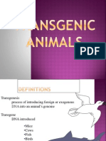 Transgenic Animals 1