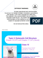 2020 SLE234 Class 15 (1 Slide Per Page)