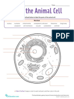 Label The Animal Cell Level 2