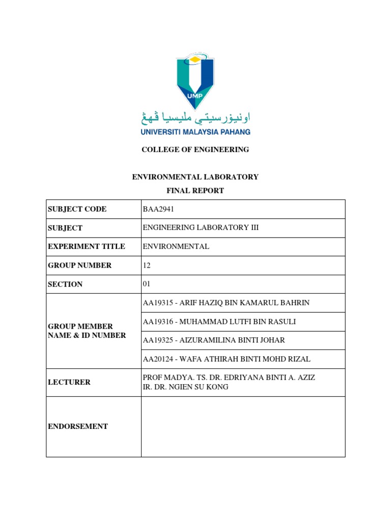 Environment Report - Engineering Lab Iii | PDF