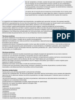 Documento A4 Carta de Agradecimiento Delicada Con Ramas de Acuarela y Manchas Dorados