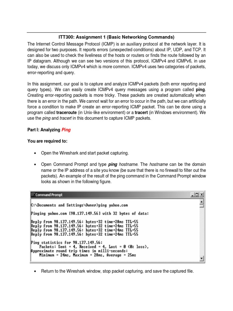 ITT300 Assignment 1 Basic Network Commands PDF Protocols