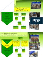 Schema de Determinare Salmonella