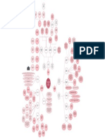 La Evolucion de Las Ciudades