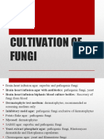 Fungal Culture