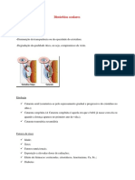 Distúrbios Oculares