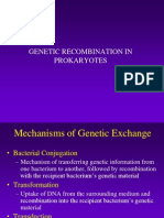 Prokaryotic Genetics