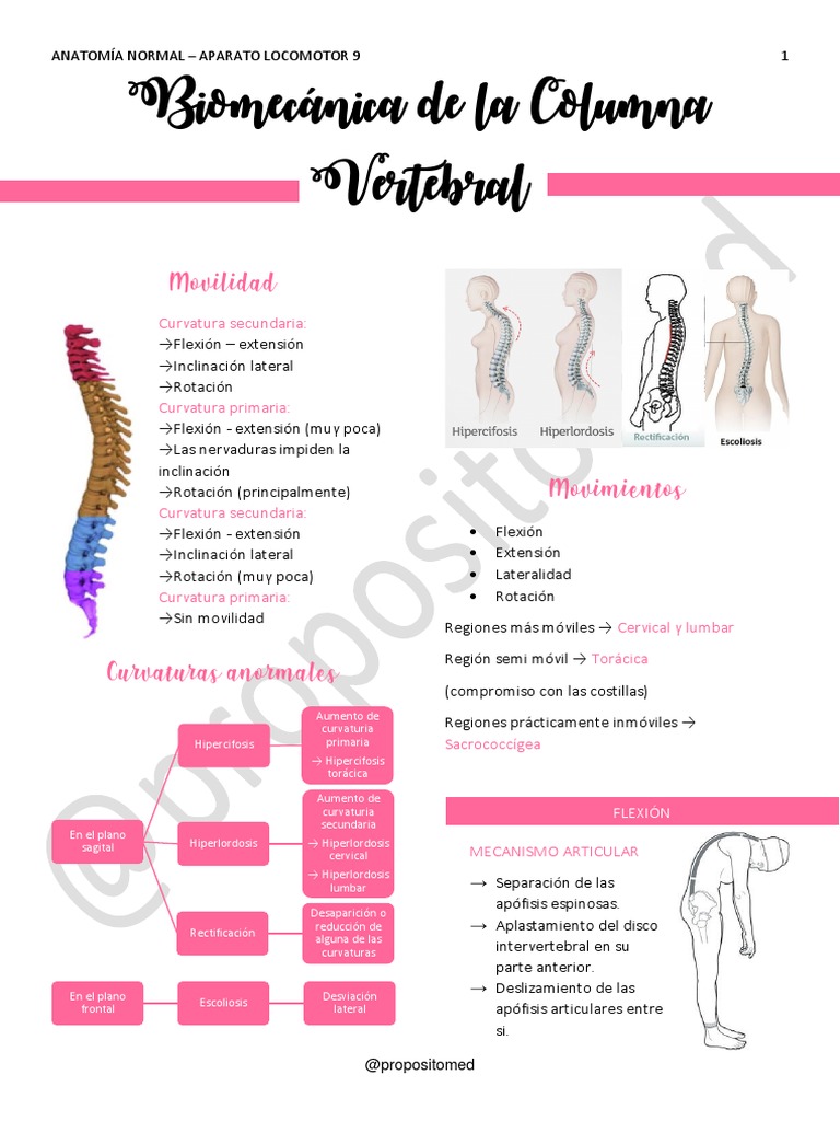 9 - Biomecánica de La Columna Vertebra | PDF | La columna vertebral ...