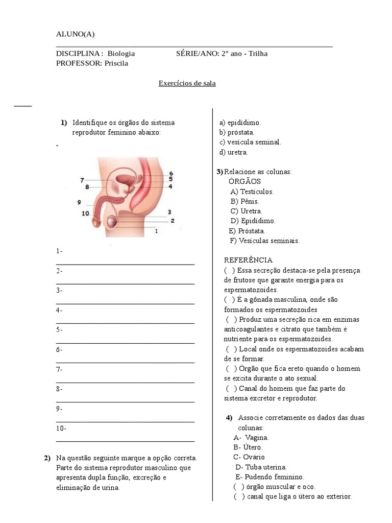 Lista Exercícios de Sala Sistema Reprodutor - Trilha | PDF ...