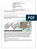 Guia Ciencias Quinto Niveles de Organización