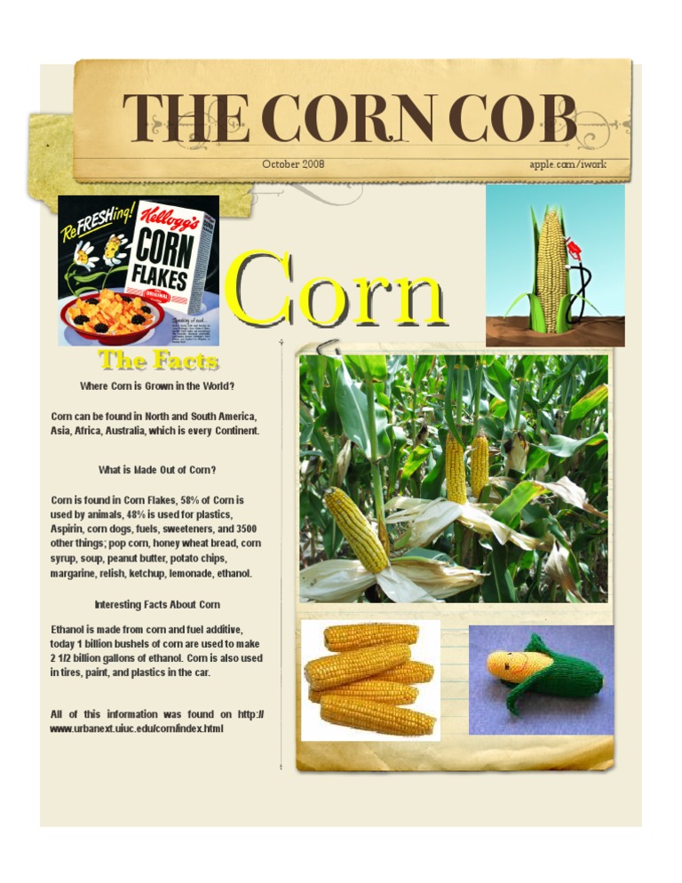 Global Uses and Facts About Corn | PDF