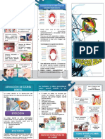 Salud Oral y Educacion Bucal (Triptico)