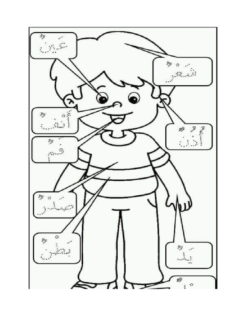 anggota badan arab | PDF