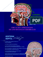 PRES - Cerebro Triuno para Educadores (Tio Nestor) .
