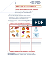 Clasificaciòn de Los Alimentos Ficha