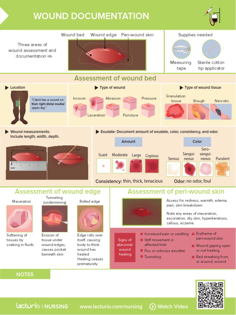 Wound Assessment and Documentation Guide | PDF
