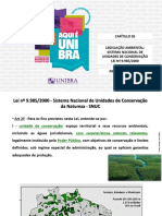 Legislação Ambiental Constituição Federal - Cap. VI