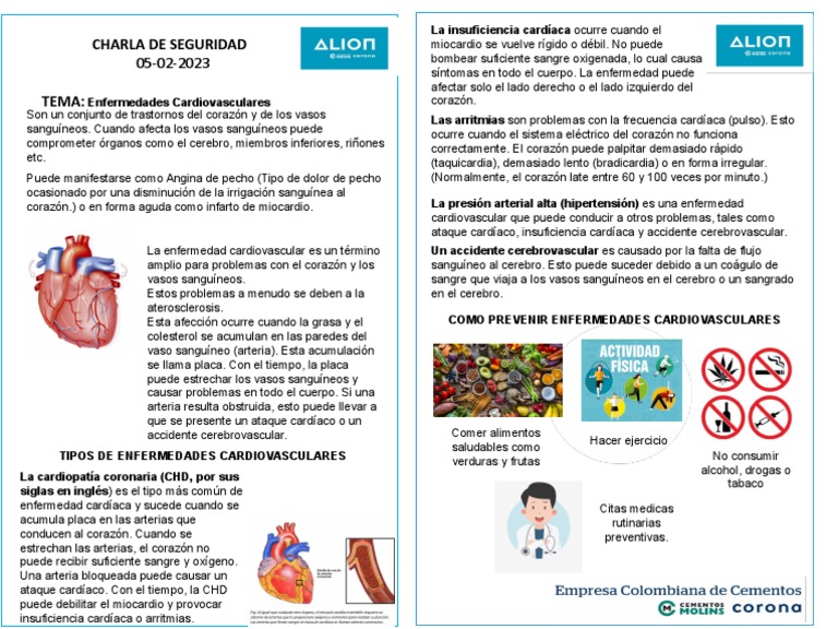 Prevención de Enfermedades Cardiovasculares | PDF