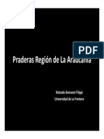01 Praderas Region de La Araucania