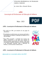 Apei Grupo 2