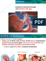 Physical Development Continues Through and .: Key Concept