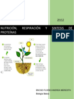 Proyecto 3n