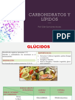 14° Carbohidratos y Lípidos