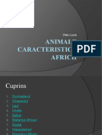 Animale Caracteristice Africii